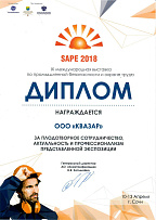 Диплом SAPE-2018